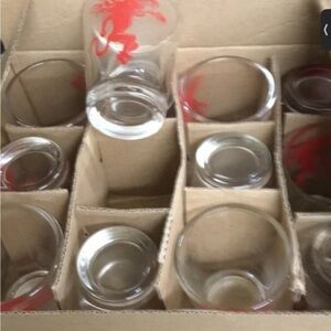 New 12 fireball shot glasses